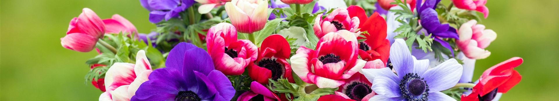 GS709174.jpg GS709174.jpg