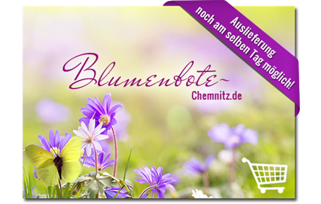 ...nach Chemnitz! ...nach Chemnitz!