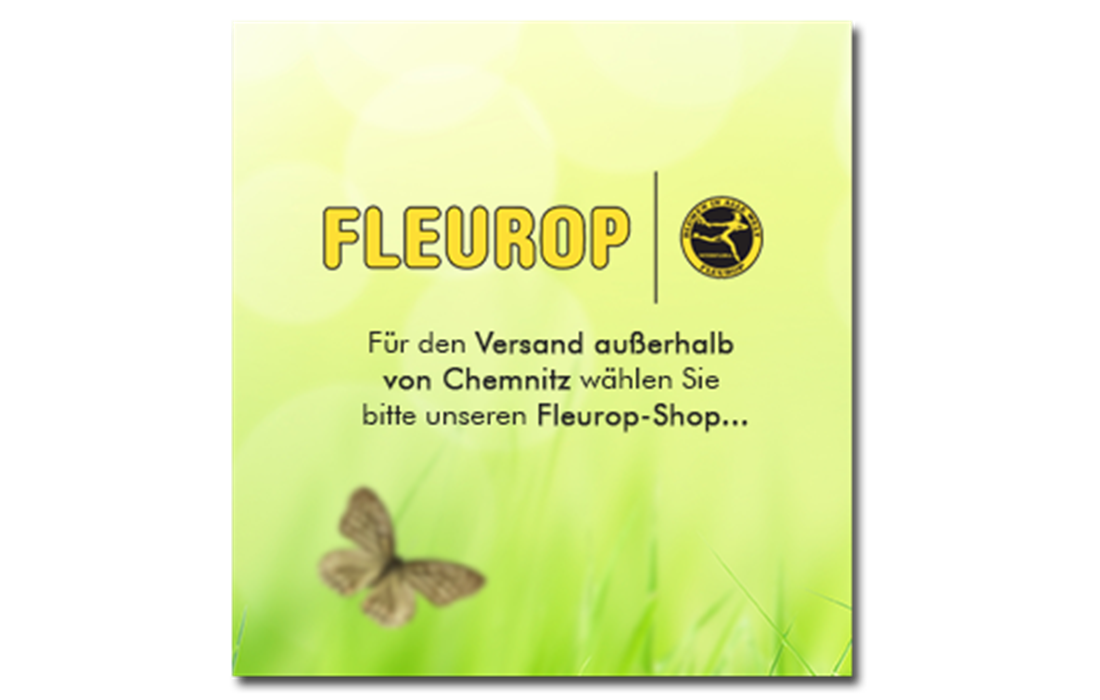 Außerhalb Außerhalb