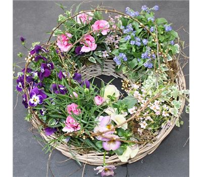 Aufrichtige Anteilnahme  Aufrichtige Anteilnahme