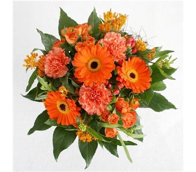 Feurige Kaßberggrüße Feurige Kaßberggrüße