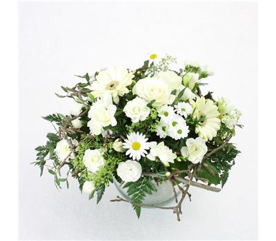 Kompliment in Weiß Kompliment in Weiß