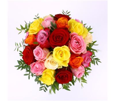 Meine Liebe! Meine Liebe!