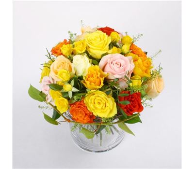 Rosentraum Rosentraum