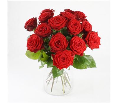 Rote Rosen Rote Rosen