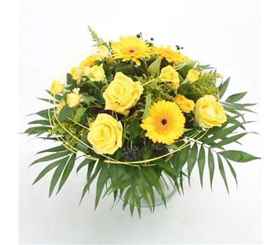 Sonnenglück Sonnenglück