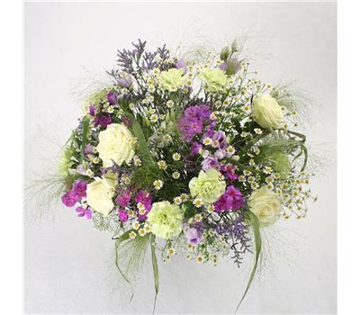 Wiesenspaziergang Wiesenspaziergang