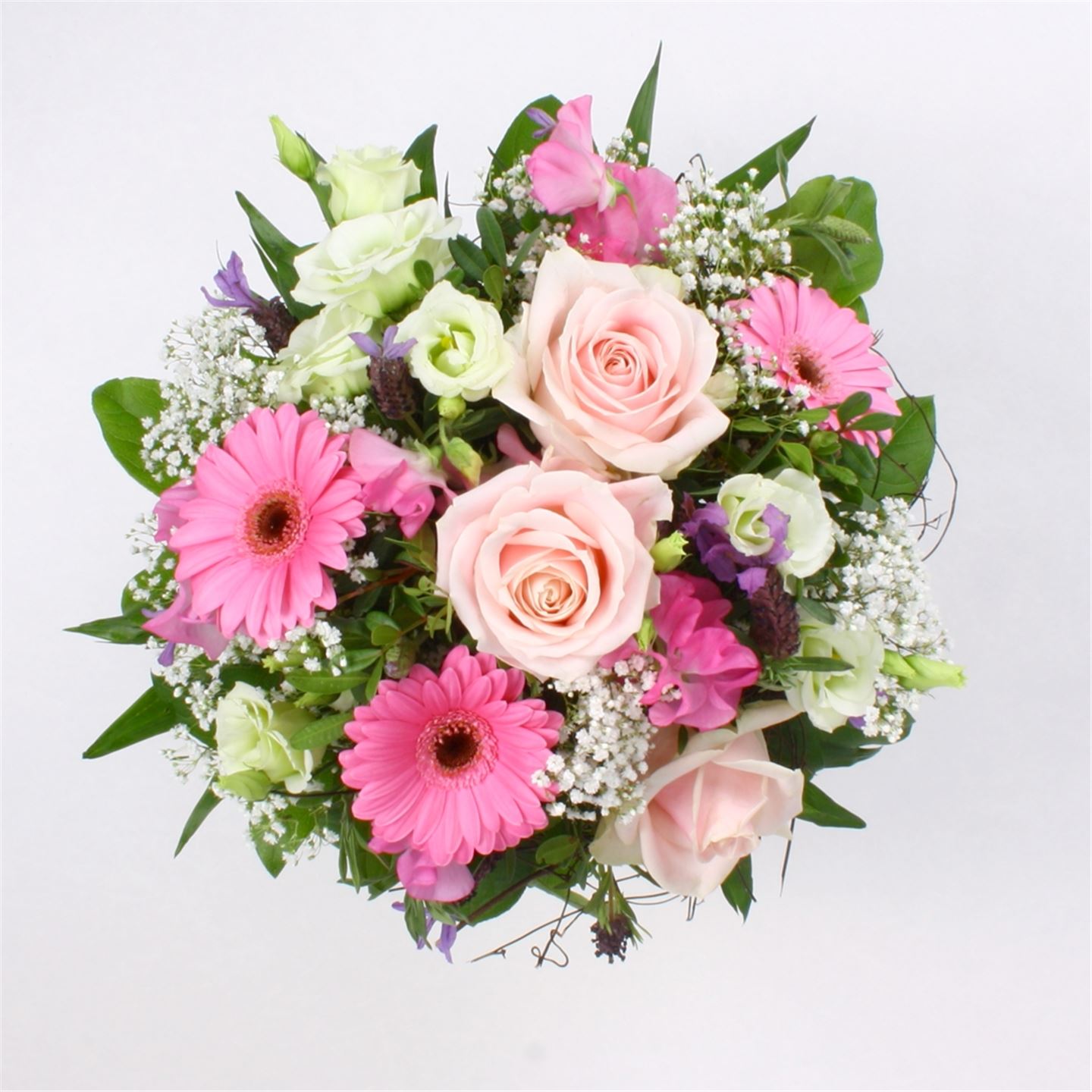 Danke für zahlreiche Streicheleinheiten