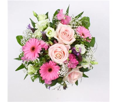 Danke für zahlreiche Streicheleinheiten Danke für zahlreiche Streicheleinheiten