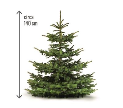 Weihnachtsbaum "Heinz"