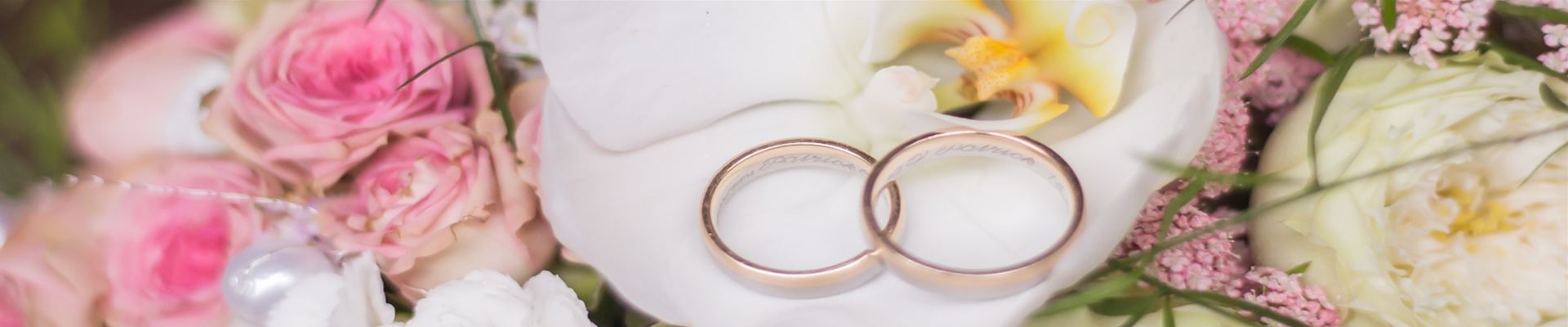 jumbo_hochzeit.jpeg jumbo_hochzeit.jpeg