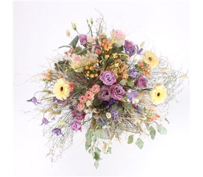 Blumenwiese Blumenwiese