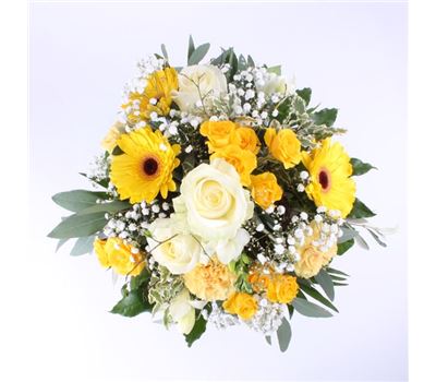 Sonnenstrahl  Sonnenstrahl