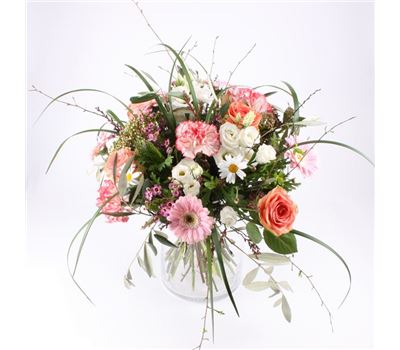 Vogelgezwitscher Vogelgezwitscher