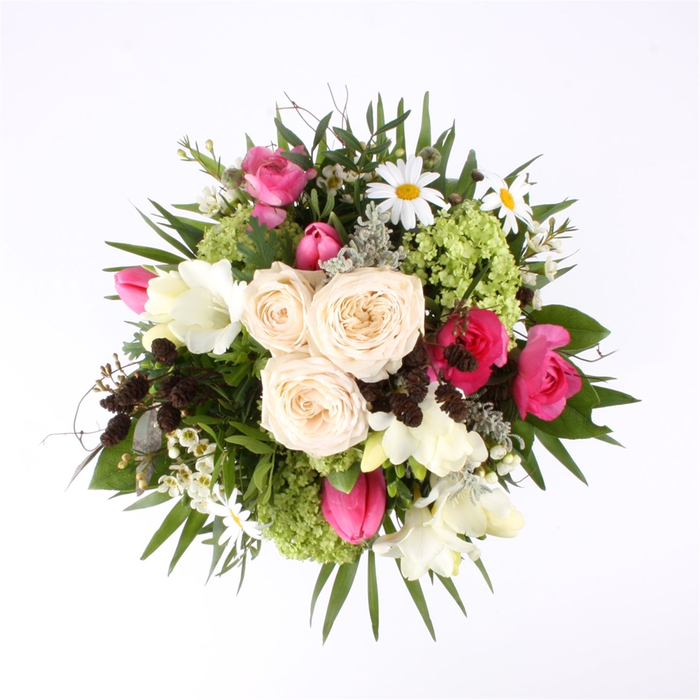 Zarte Frühlingsgefühle 