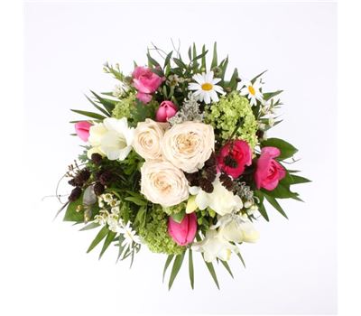 Zarte Frühlingsgefühle 