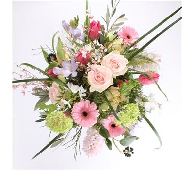 Zarter Blütenreigen 