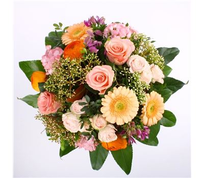 Peachy Glow Peachy Glow