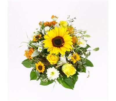 Sonnenglanz  Sonnenglanz