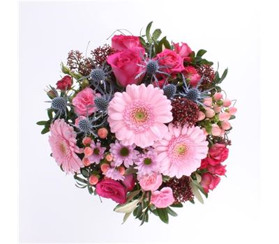 Leichte Brise  Leichte Brise