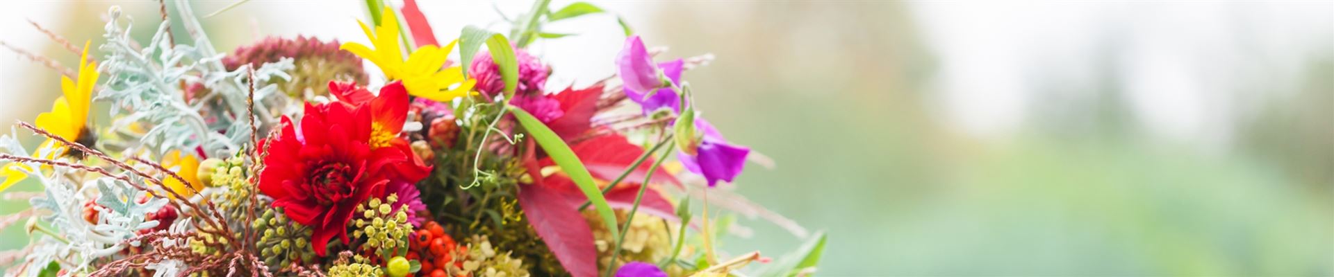 slider_herbst.jpeg slider_herbst.jpeg